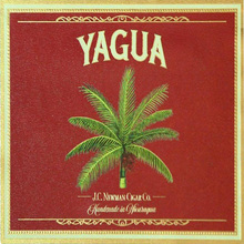 Yagua