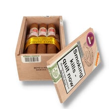 An open box of Hoyo De Monterrey Epicure Especial