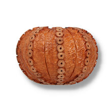 front view of the Northern Briars Light Tan Sea Urchin NB-290 showing the intricate carved sea urchin bowl with individually inset wooden detailing.